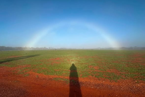 A fogbow, as photographed on a country property.