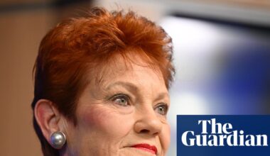One Nation faces being struck off in Queensland after failing to file audited financial statements | One Nation