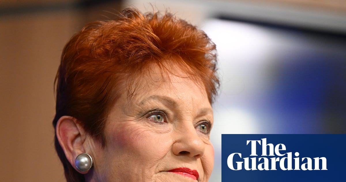One Nation faces being struck off in Queensland after failing to file audited financial statements | One Nation