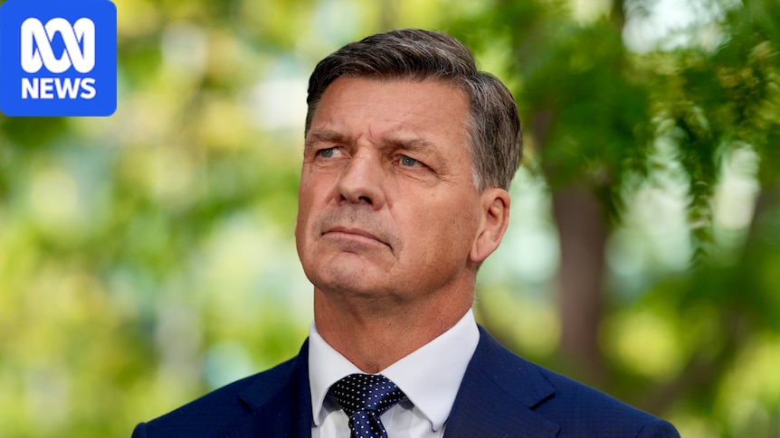 NSW Liberal figures discussed seeking financial backing for right-wing faction from Angus Taylor, ICAC hears