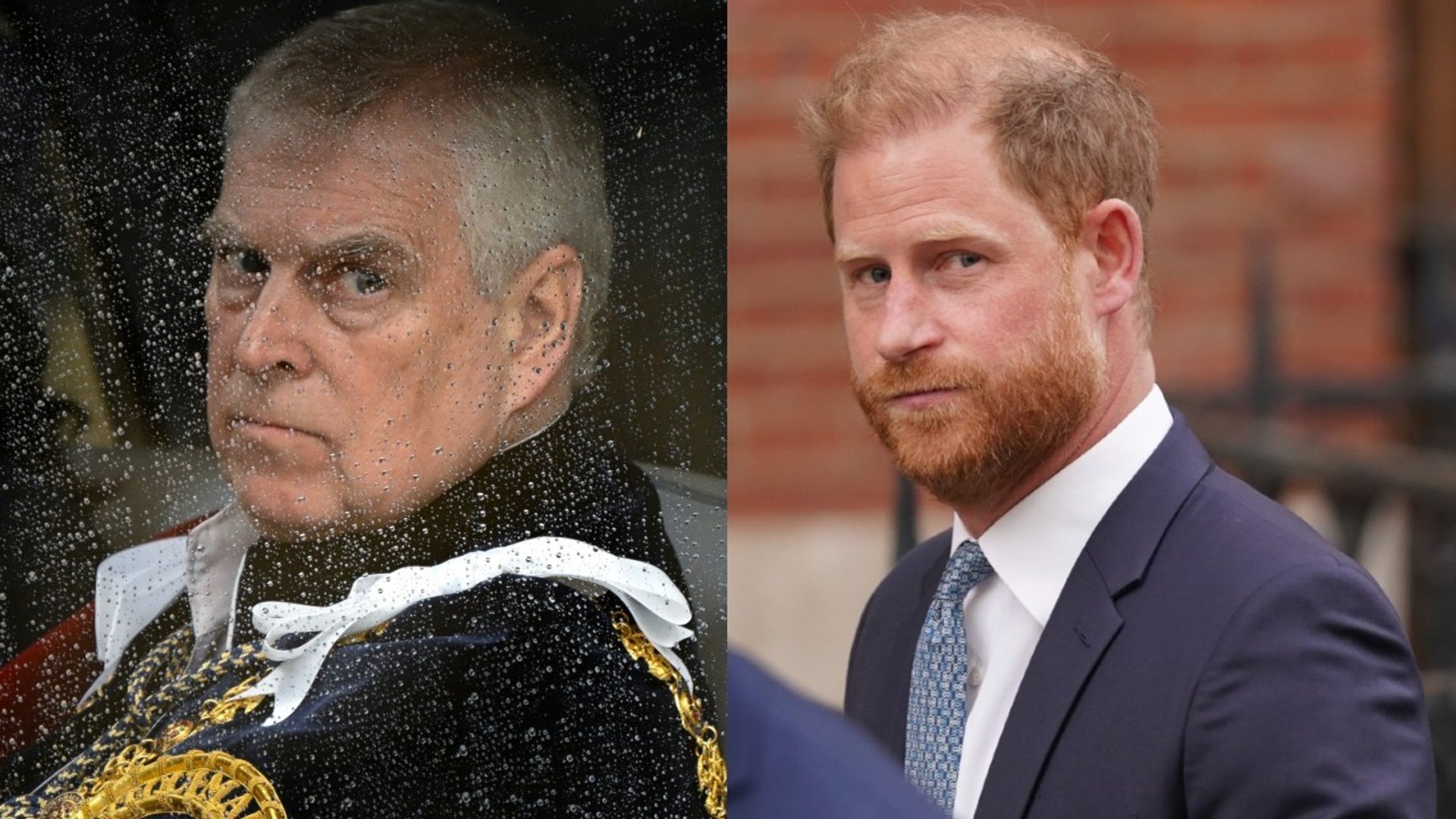 Andrew Mountbatten-Windsor and Prince Harry ‘decimated’ monarchy’s standing