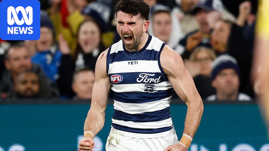 Geelong topples Melbourne to close on AFL top six, Fremantle enjoys derby win over West Coast