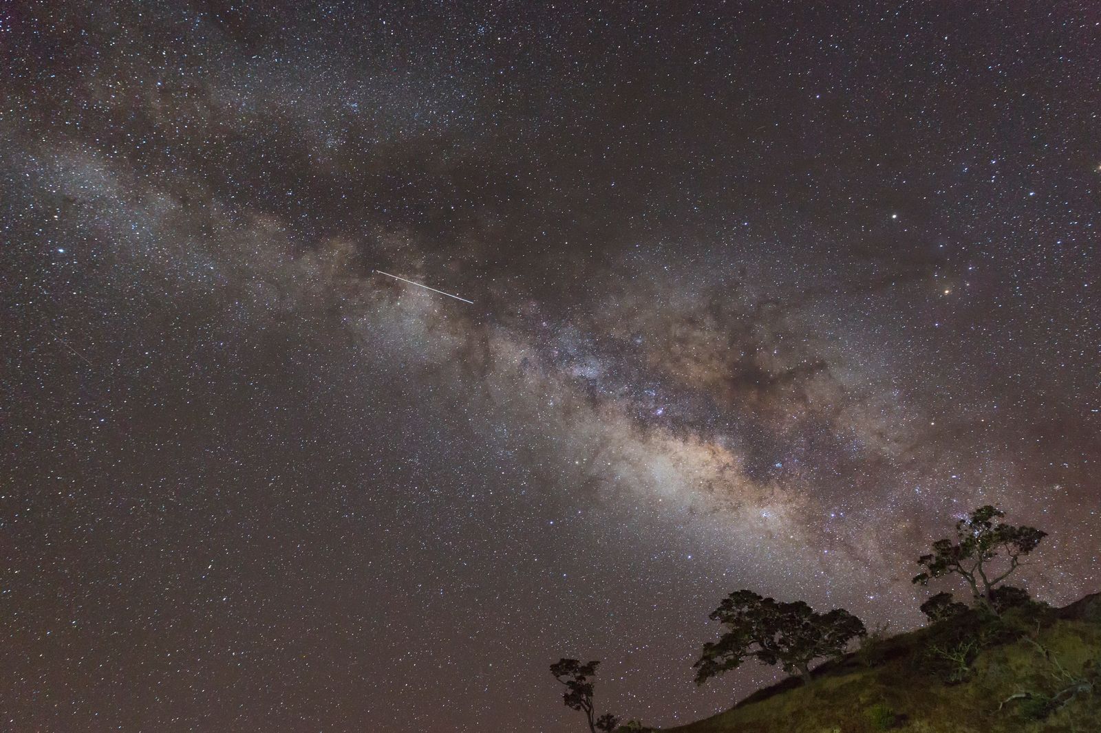 Southern Delta Aquariids Meteor in Milky Way