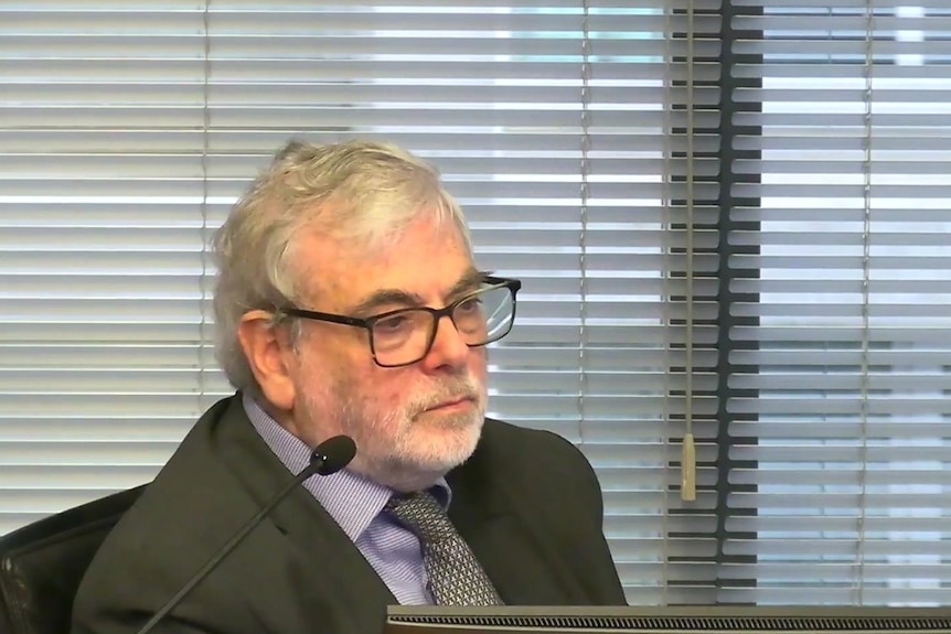 A man with white hair and a beard, dark rimmed glasses and a grey suit jacket and purple shirt sits behind a microphone.