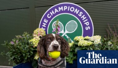 Wimbledon diary: Sabalenka’s dog plea, Rufus the Hawk and strawberry towels for ever | Wimbledon 2026