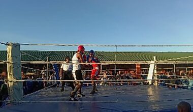 Delight as boxing set to punch off in school sport calendar