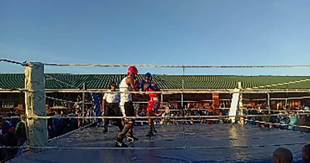 Delight as boxing set to punch off in school sport calendar
