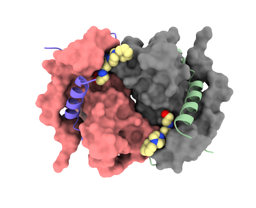 Newly Identified Inhibitors May Boost Chemotherapy Drug’s Ability to Fight Treatment-Resistant Cancers