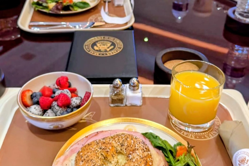 Brunch plate posted by Karoline Leavitt shows the first meal served on Trump's new plane. 