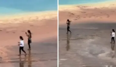 Yellowstone National Park: Uproar as ‘oblivious’ tourists filmed committing dangerous act at natural landmark