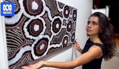 Remote Indigenous artists travel to Sydney for National Indigenous Art Fair