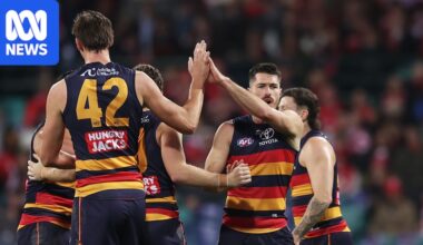 AFL Rd 19 live updates: Sydney Swans vs Adelaide Crows at the SCG — blog, scores and stats