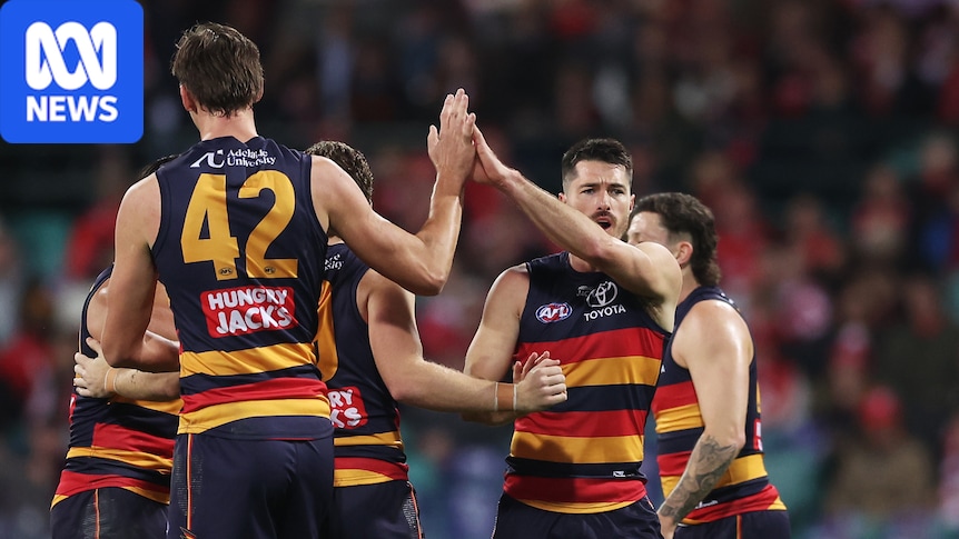 AFL Rd 19 live updates: Sydney Swans vs Adelaide Crows at the SCG — blog, scores and stats