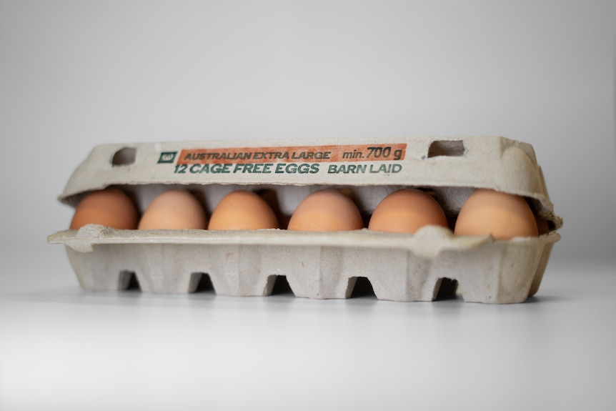 A carton of Woolworths brand cage free eggs.