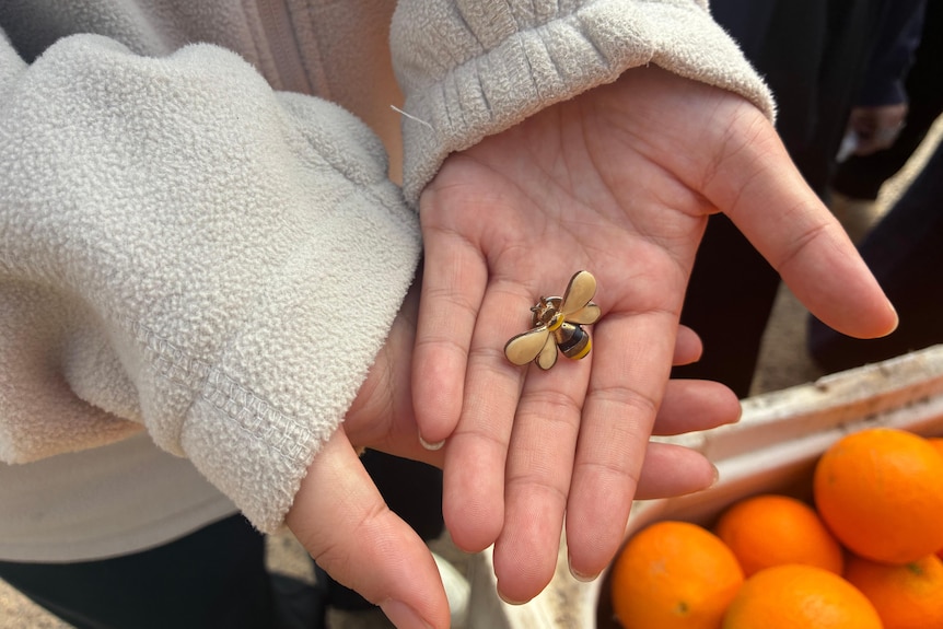 A brooch featuring a bee