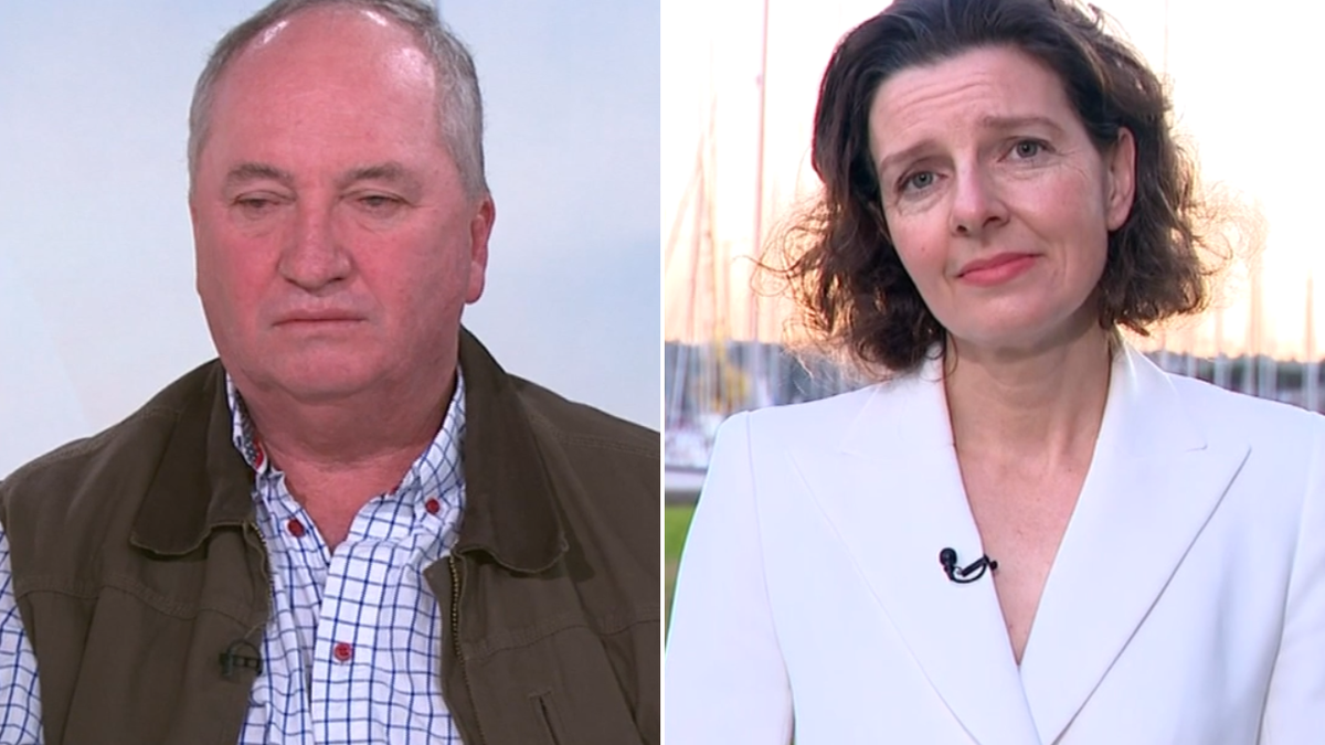‘She’s straight down the barrel’: Joyce defends Pauline Hanson as polls show support for One Nation slipping
