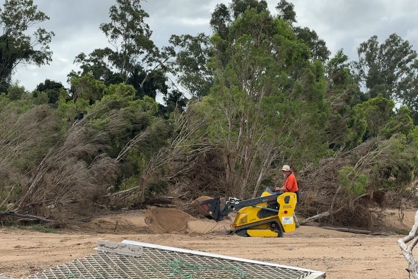 A man on an excavator with a cage in the foreground and damaged trees in the background