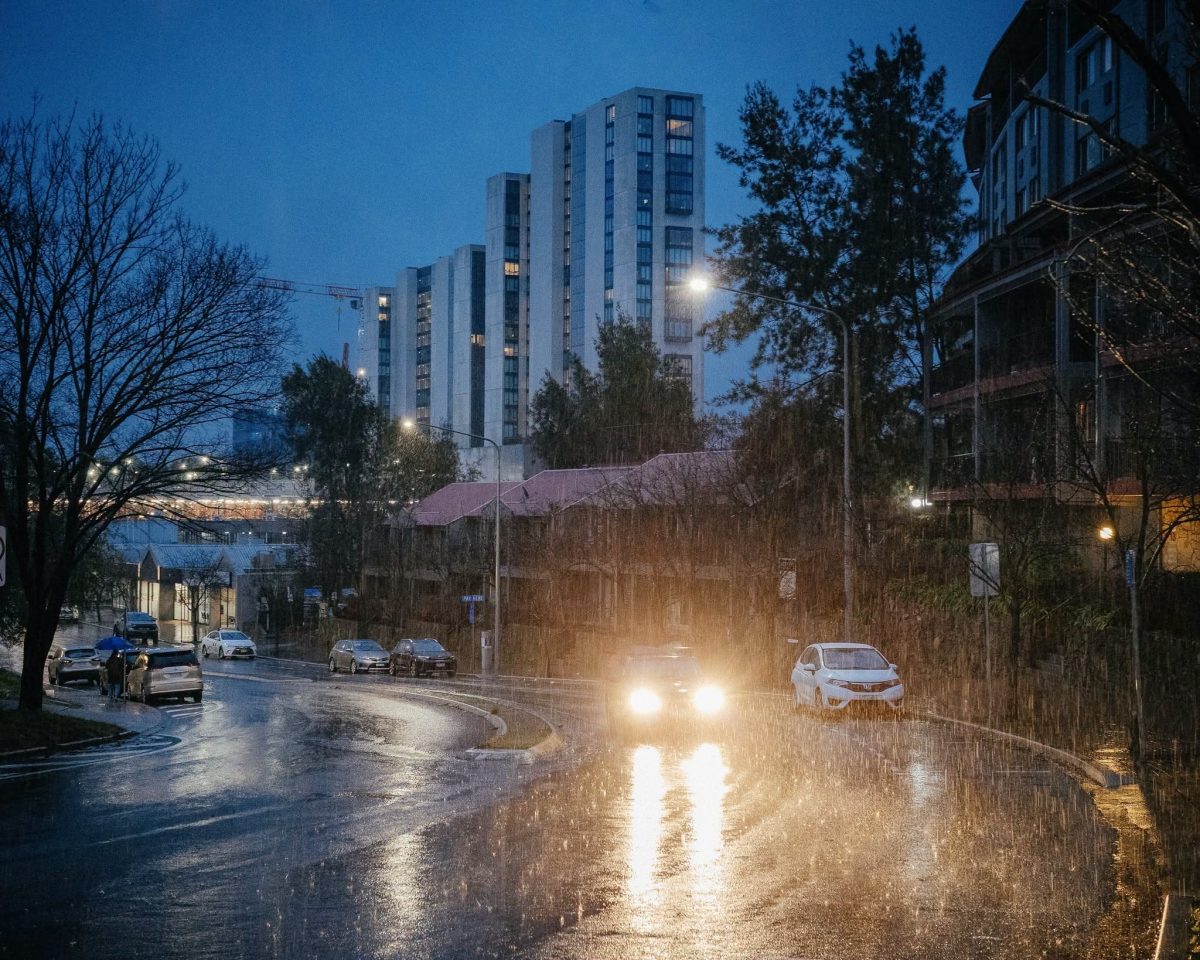 cars driving in the rain