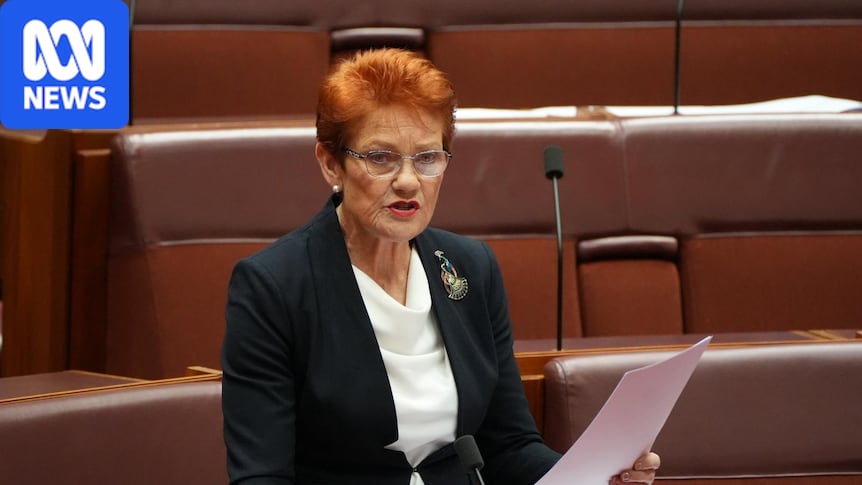 Pauline Hanson blames end of White Australia policy for migration issues on Tommy Robinson's podcast