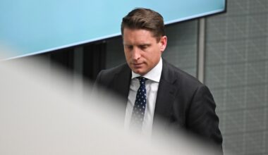 One Nation insider warned of abuse months before security upgrade, Hastie claims, amid foreign interference fears