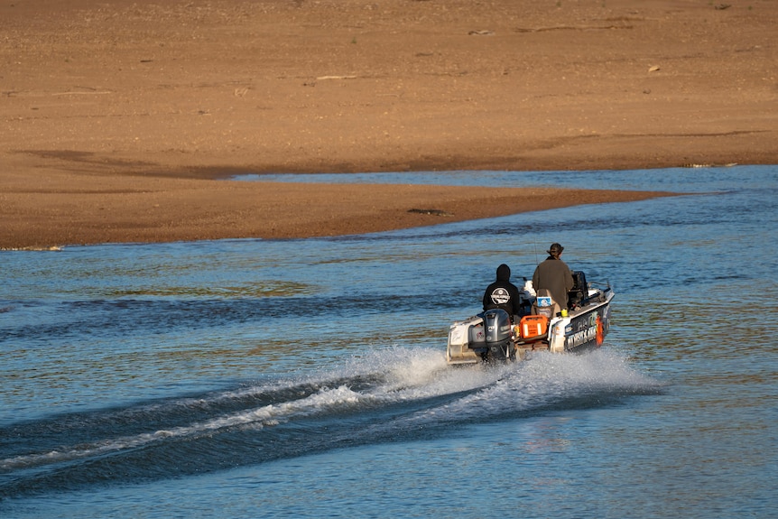 A boat skimming across the water, with the brown sand shore nearby.