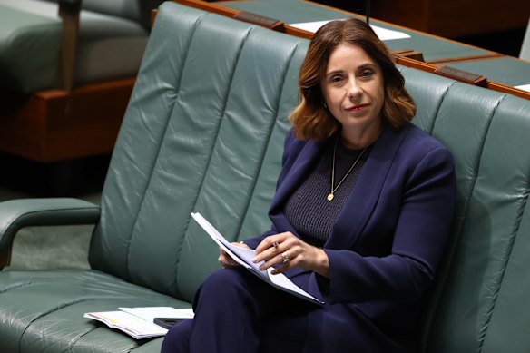 Minister for Communications Anika Wells in the House of Representatives.