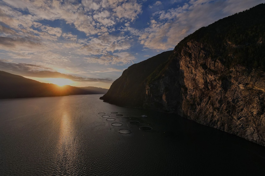 The Hofseth Urdaneset salmon farm in Norway.