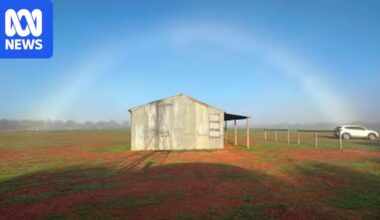 Elusive fogbow photographed at Cobar, western NSW