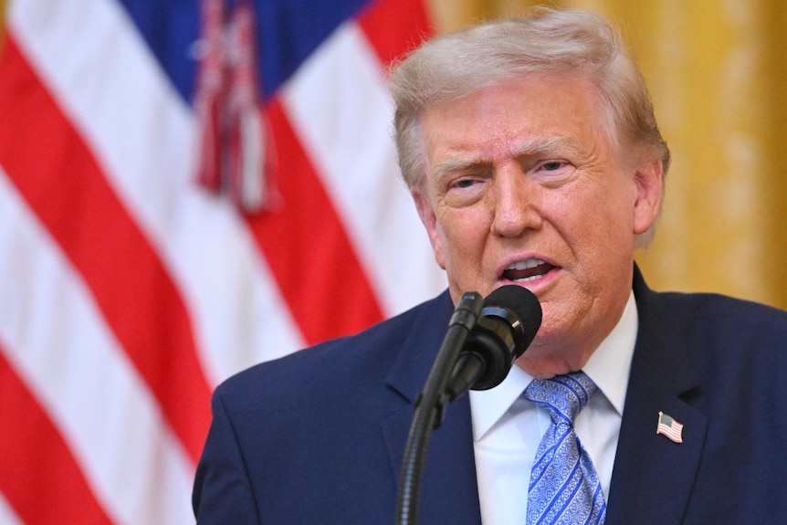 Donald Trump speaks in front of a microphone. A red, white and blue flag is behind him.