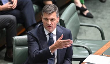 One Nation MP calls on Angus Taylor to work with Pauline Hanson to ‘overthrow Labor together’