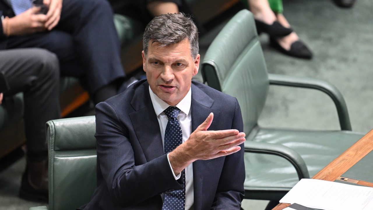 One Nation MP calls on Angus Taylor to work with Pauline Hanson to ‘overthrow Labor together’