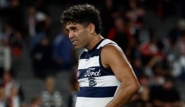 AFL 2026: Geelong Cats part ways with Tyson Stengle, contracted until end of 2029, statement, reaction