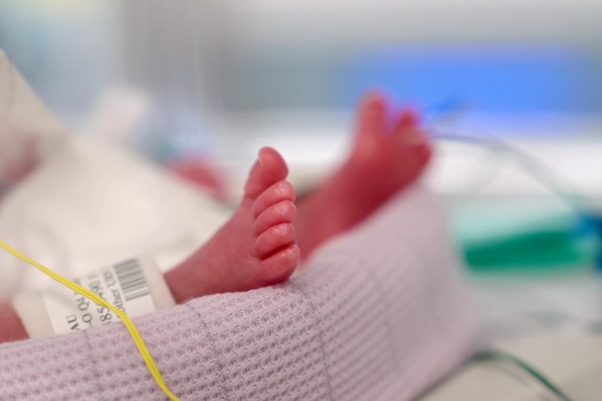 Tiny baby feet