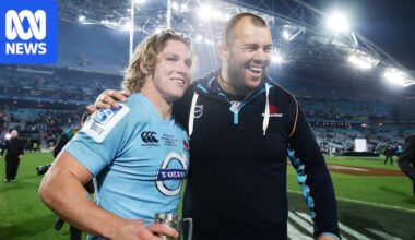 Rugby Australia tight-lipped on possible Michael Cheika homecoming at NSW Waratahs
