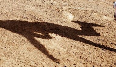 OPINION: How the Diamondbacks could steal the NL West