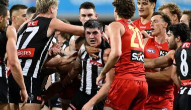 AFL delivers verdict after Brayden Maynard touches umpire in fiery melee against Gold Coast