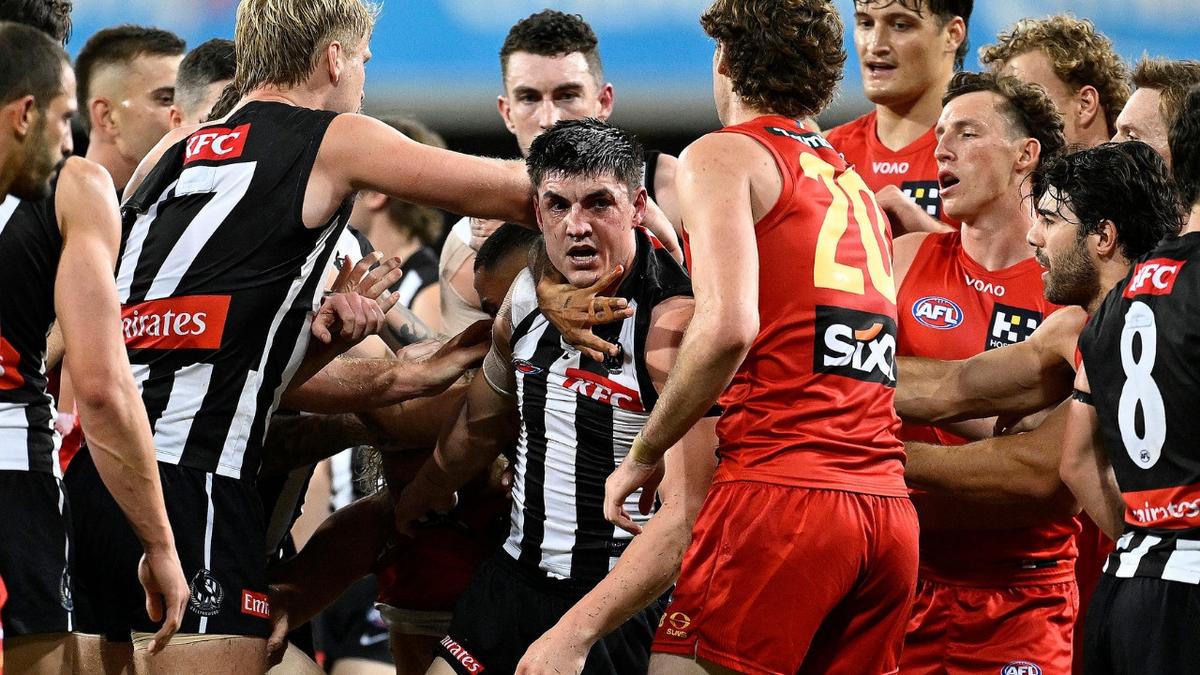 AFL delivers verdict after Brayden Maynard touches umpire in fiery melee against Gold Coast