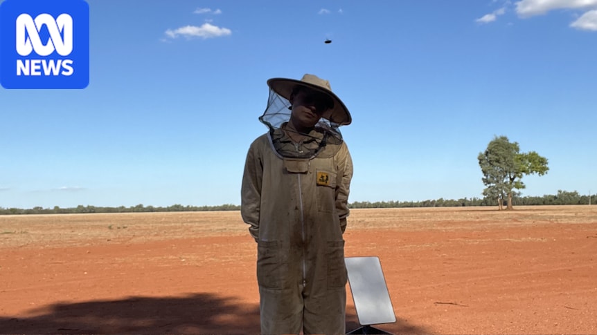 Fourth-generation beekeeper Sophia Croker speaks out about the industry's struggles