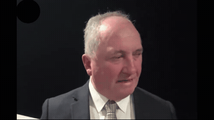 Barnaby Joyce: One Nation MP flies off handle with verbal outburst during ABC interview with Sarah Ferguson