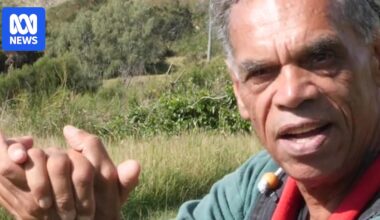 VIDEO: This Place: Koala Brother, Yarriabini - ABC News & Headlines – Australian Broadcasting Corporation