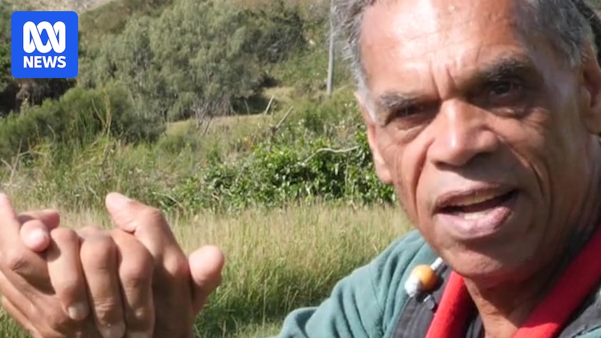 VIDEO: This Place: Koala Brother, Yarriabini - ABC News & Headlines – Australian Broadcasting Corporation