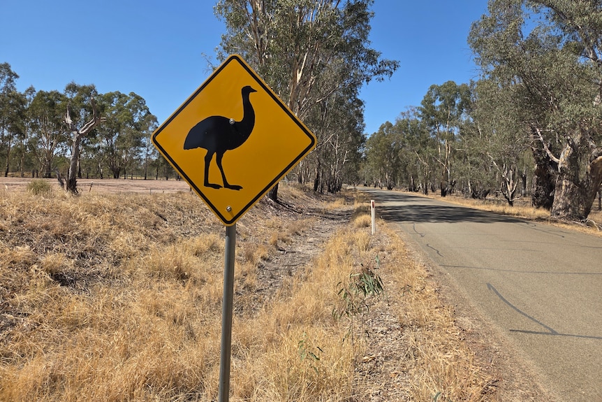 An emu roadsign
