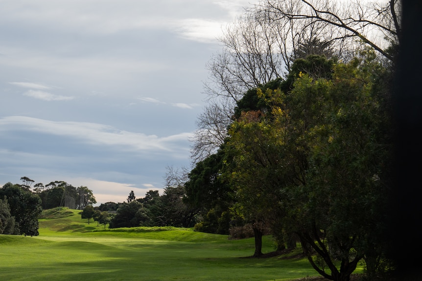 Moore Park golf course with green slopes, hole closed signs, trees and politicians.