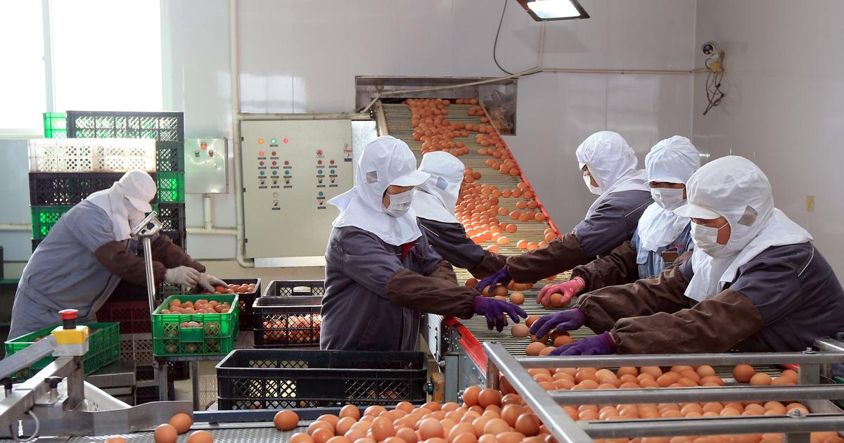 Soaring egg prices expose cracks in two-track China economy