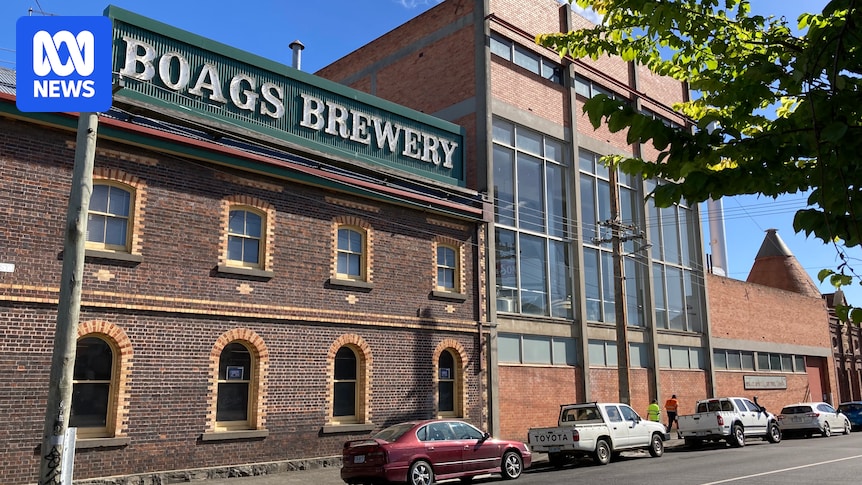 Workers confused as Boag's owner Lion states the beer brand is not for sale, but it is open to offers