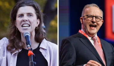 Cheek founder Hannah Ferguson to challenge PM Anthony Albanese as independent for seat of Grayndler