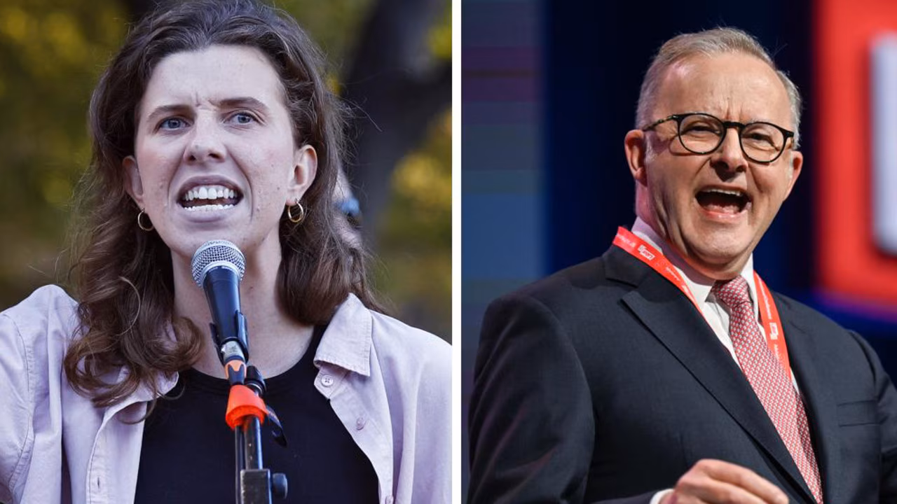 Cheek founder Hannah Ferguson to challenge PM Anthony Albanese as independent for seat of Grayndler