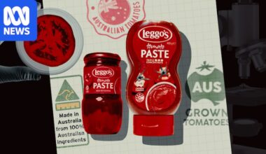 Leggo's, Coles and Aldi selling Chinese tomatoes as 'Australian' and 'Italian' in products, forensic testing finds