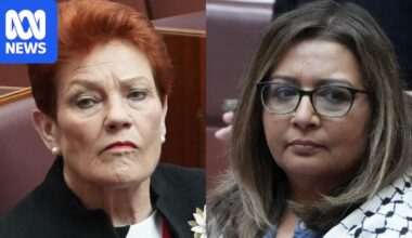 Pauline Hanson fails in appeal bid against racial discrimination of Mehreen Faruqi
