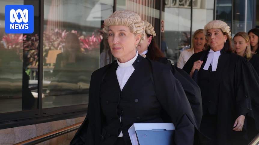 Crown prosecutors issue joint statement in support of Sally Dowling after controversial DPP report